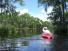 20HendersonSwamp5.jpg